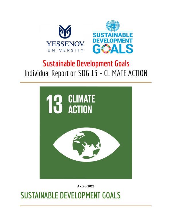 sdg-13-report-1-600×776